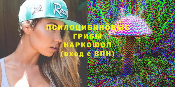 шишки Осташков