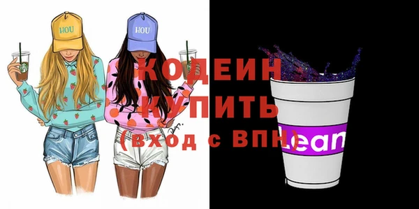 шишки Осташков