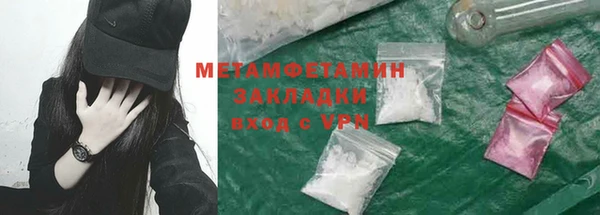 индика Нягань