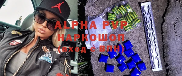 индика Нягань