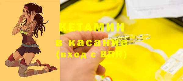 шишки Осташков