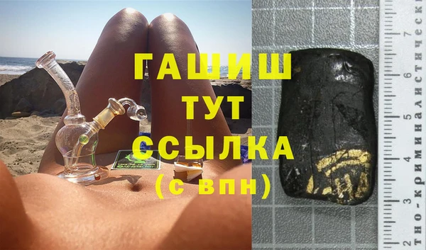 индика Нягань
