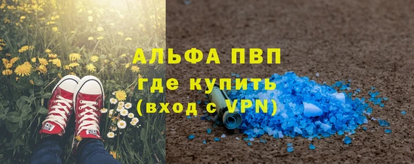 шишки Осташков
