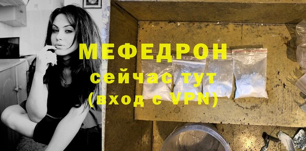 индика Нягань
