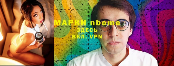 шишки Осташков