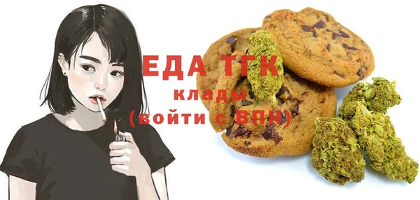 дмт Ельня