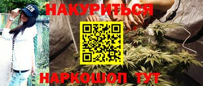 амф Кингисепп