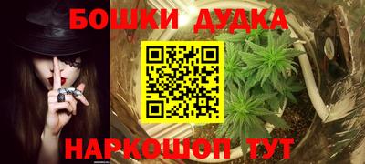 дмт Славгород