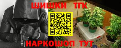 дмт Славгород