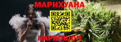 дмт Славгород