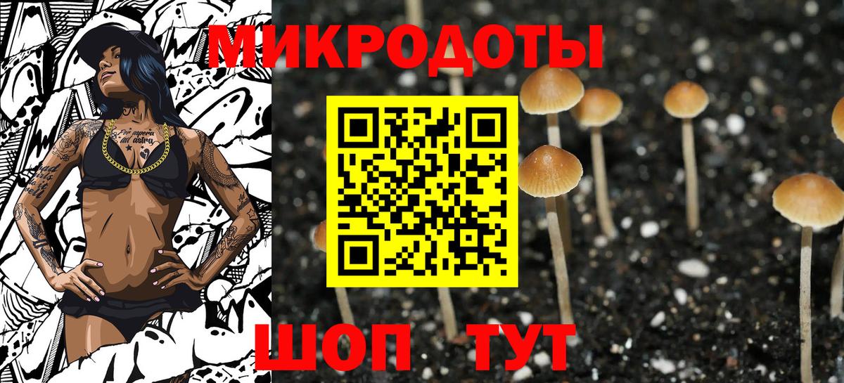 Галлюциногенные грибы GOLDEN TEACHER Кореновск