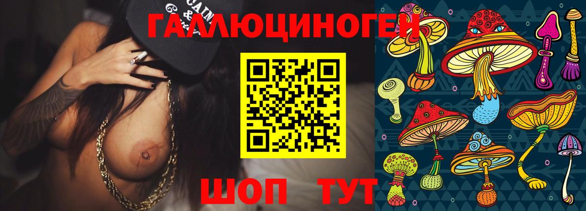 Псилоцибиновые грибы Psilocybe Кореновск